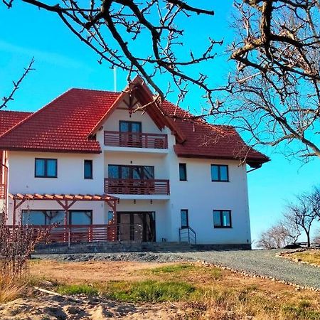 Casa Comilor Bed & Breakfast Surdesti  Exterior foto