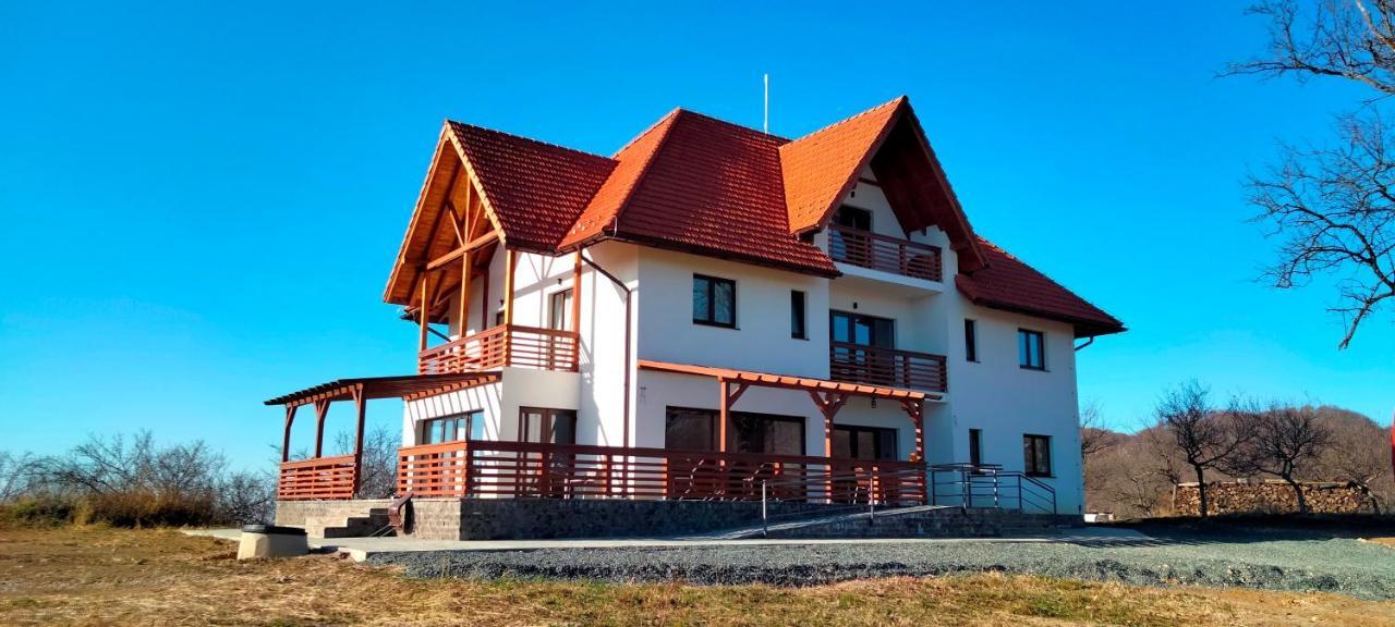 Casa Comilor Bed & Breakfast Surdesti  Exterior foto