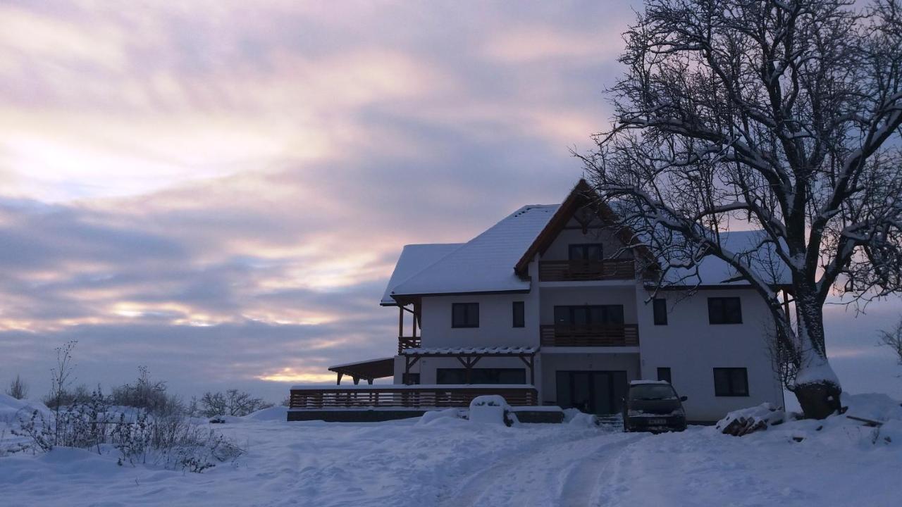 Casa Comilor Bed & Breakfast Surdesti  Exterior foto