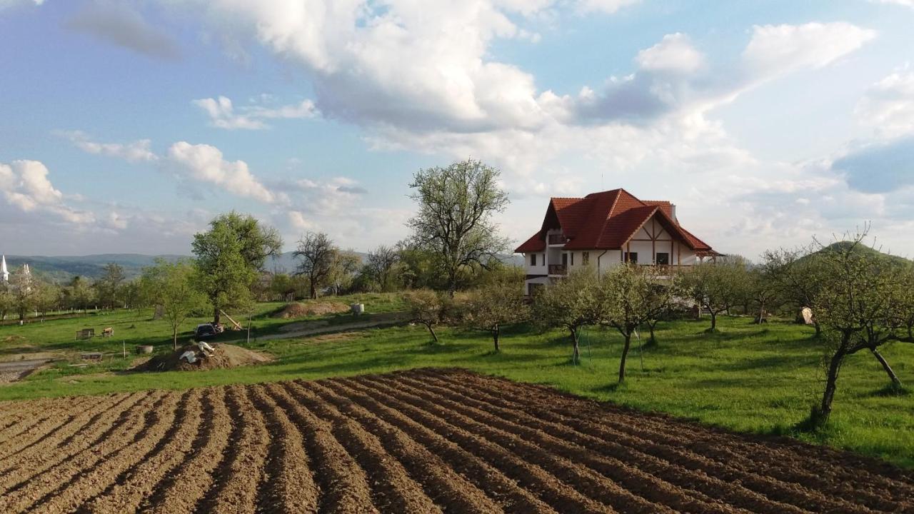 Casa Comilor Bed & Breakfast Surdesti  Exterior foto
